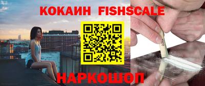 стафф Камышлов
