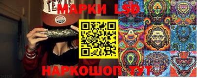 стафф Камышлов
