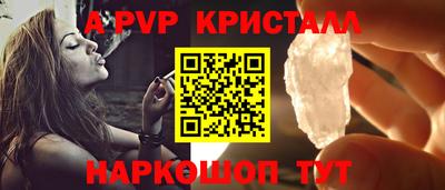 стафф Камышлов
