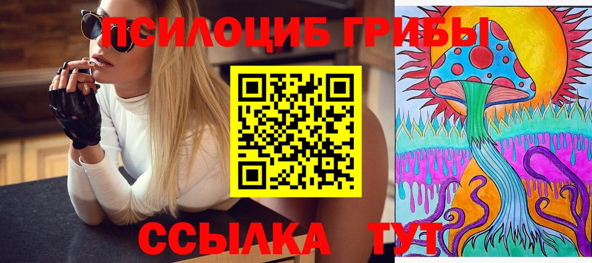 Псилоцибиновые грибы мицелий  Псилоцибиновые грибы MAGIC MUSHROOMS  магазин  наркотиков  Вход с VPN  Ишим 